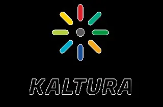 如何从 Kaltura 下载视频
