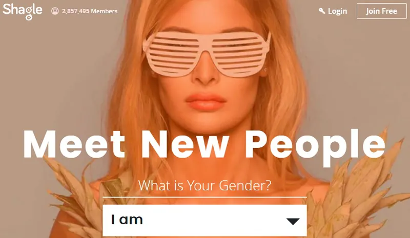 shagle omegle alternative