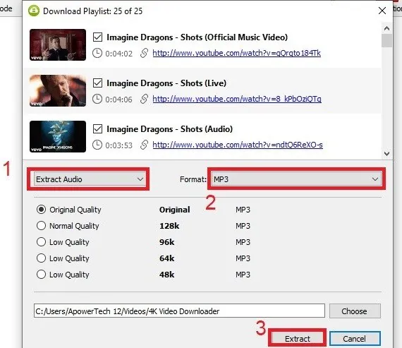 youtube playlist mp3 4kvideodownloader interface